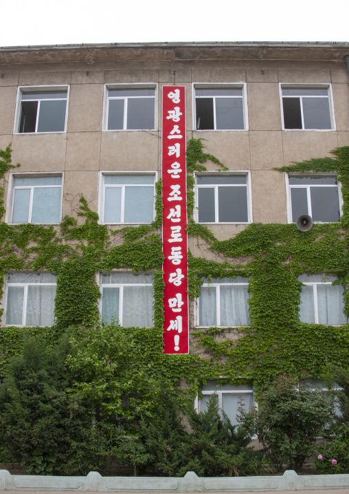 Propaganda billboard for the workers party on a building, DGC, Pyongyang, North Korea