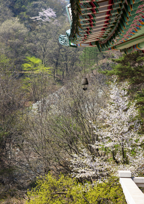International friendship exhibition building roof, Hyangsan county, Mount Myohyang, North Korea