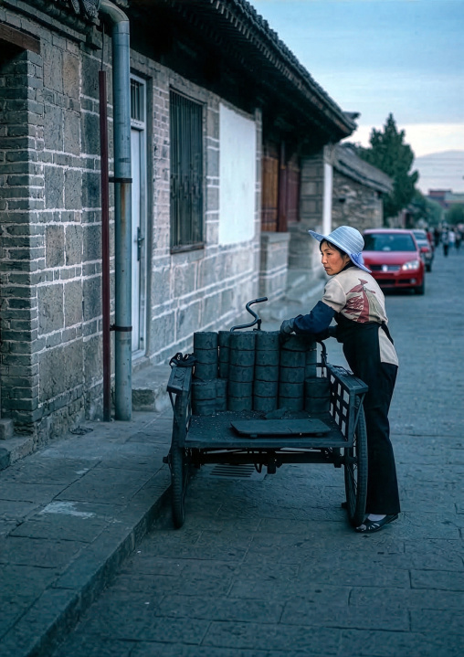 A vendor sells coal bricks used for cooking and home heating, Huating County, Shanghai, China