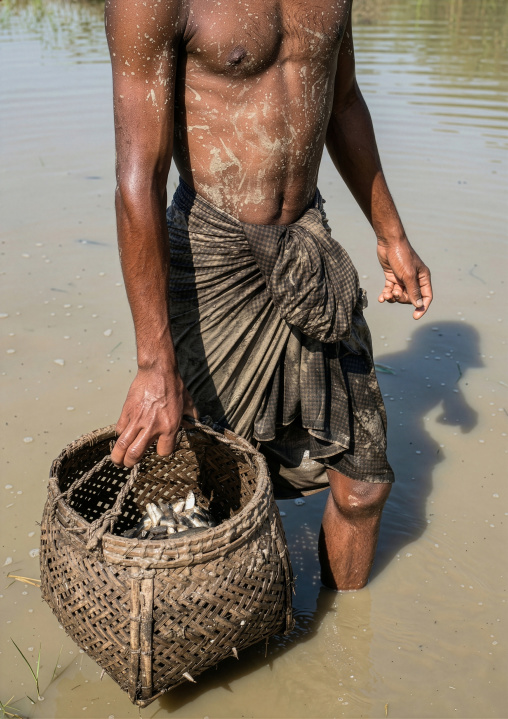 Fisherman catching small fishes in a muddy lake, Rakhine State, Ngapali, Myanmar