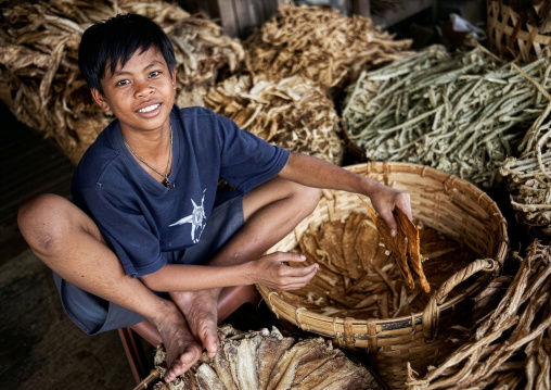 Boy selling dried fishes, Rakhine State, Ngapali, Myanmar