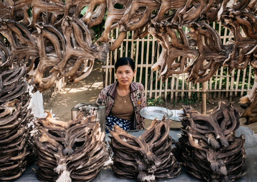Woman selling dried fishes, Rakhine State, Ngapali, Myanmar