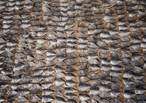 Dried fishes, Rakhine State, Ngapali, Myanmar