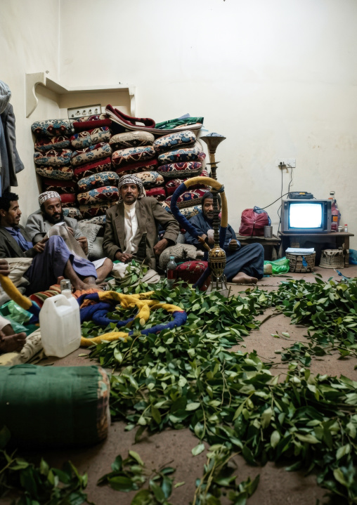 Yemeni men chewing khat, Amanat Al-Asemah, Sanaa, Yemen