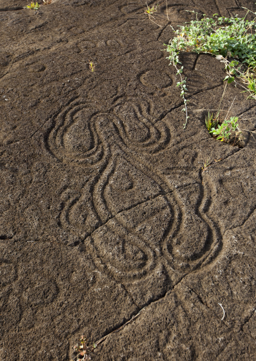 Petroglyph in paka vaka rock art site, Easter Island, Hanga Roa, Chile
