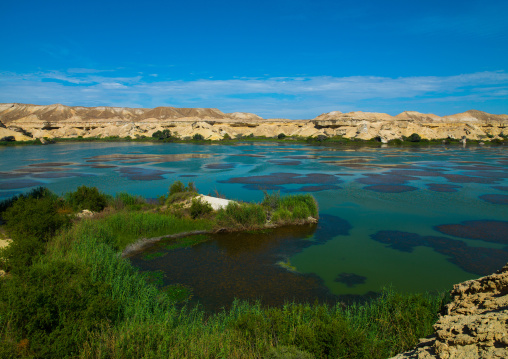 Lake Arco freshwater oasis, Namibe Province, Njambasana, Angola