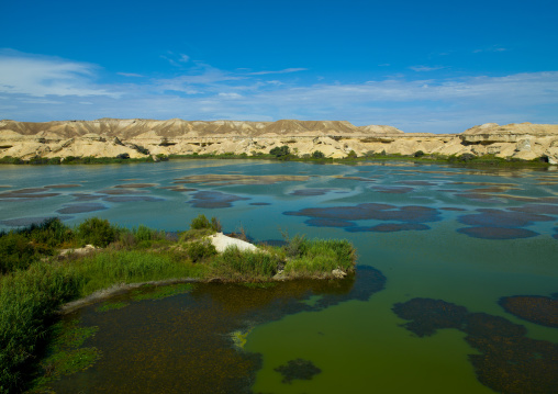 Arco's Oasis In The Namibe Desert, Angola