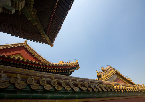Forbidden City Roofs, Beijing, China