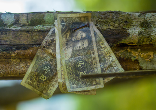 Notes On A Gate In Jinuo Minority, Yunnan Province, China
