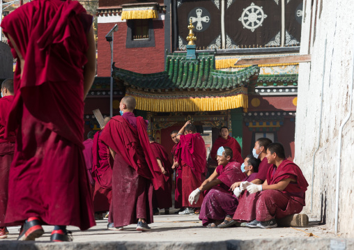 Monks painting the walls of a temple in Rongwo monastery, Tongren County, Longwu, China