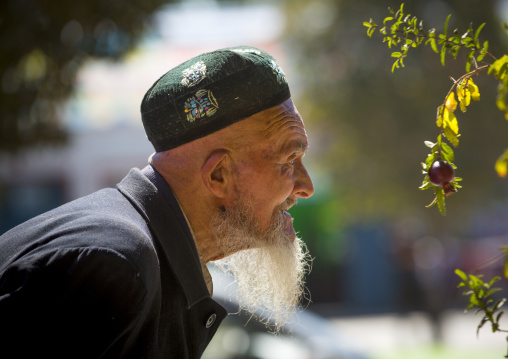 Old Uyghur Man, Old Town Of Kashgar, Xinjiang Uyghur Autonomous Region, China