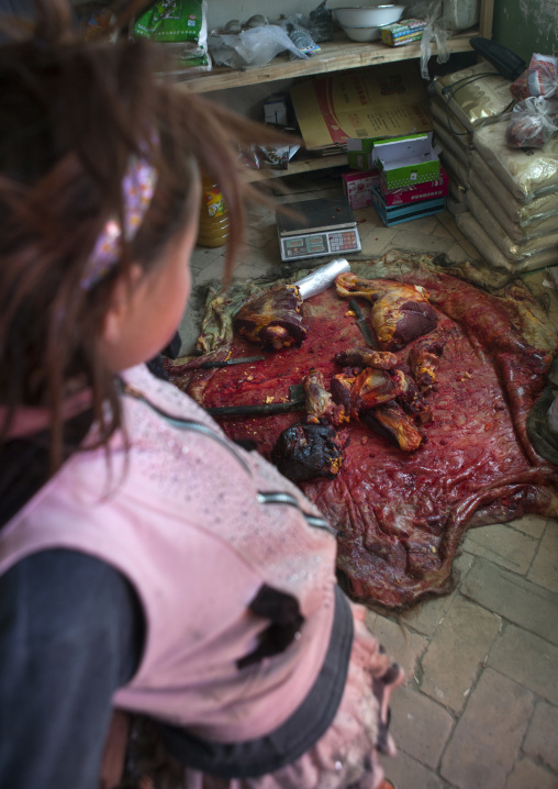 Little Girl And Remains Of A Yak Near Karakul Lake, Xinjiang Uyghur Autonomous Region, China