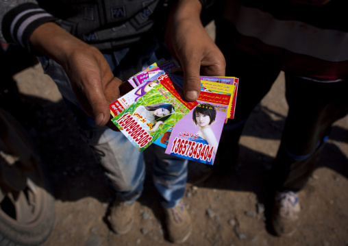 Ads For Collecting Service Of Dead And Sick Animals by han people, Kashgar Animal Market, Xinjiang Uyghur Autonomous Region, China