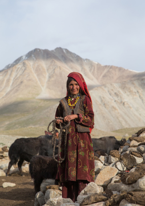 Wakhi nomad woman taking care of her yaks, Big pamir, Wakhan, Afghanistan