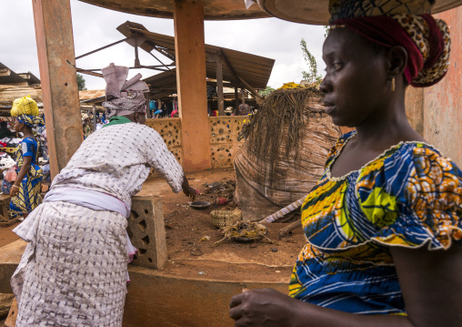 Benin, West Africa, Adjara, legba fetish on a market