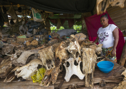 Benin, West Africa, Bonhicon, a voodoo market with many cut heads and parts of dead animal
