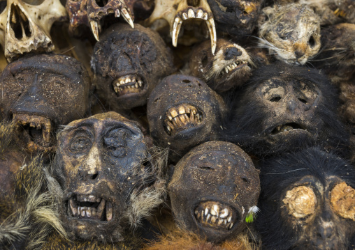 Benin, West Africa, Bonhicon, monkeys heads sold on a voodoo market