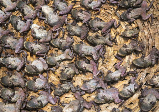 Benin, West Africa, Bonhicon, a voodoo market with many cut heads and parts of dead animal