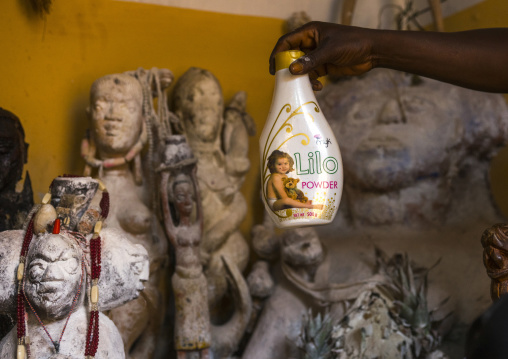 Benin, West Africa, Bonhicon, kagbanon bebe voodoo priest putting some talc powder on the sacred statues during a ceremony