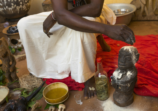 Benin, West Africa, Bonhicon, kagbanon bebe voodoo priest putting some talc on the head of a statue during a ceremony