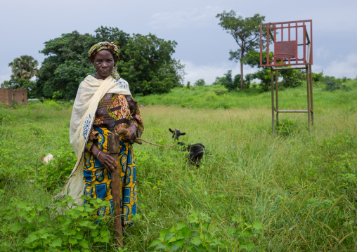 Benin, West Africa, Taneka-Koko, woman with a goat on a basket field covered with high grass