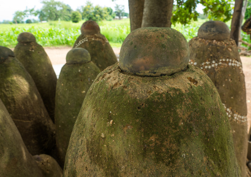 Benin, West Africa, Boukoumbé, voodoo altars in front of a traditional tata somba somba house