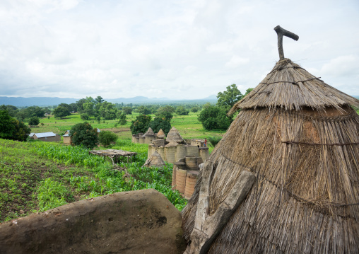 Togo, West Africa, Nadoba, traditional tata somba houses with thatched roofs and granaries
