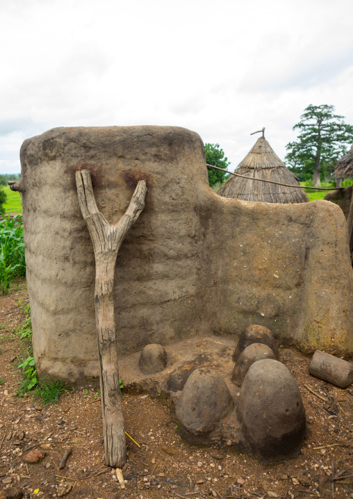 Togo, West Africa, Nadoba, ladder on a traditional tata somba houses with thatched roofs and granaries