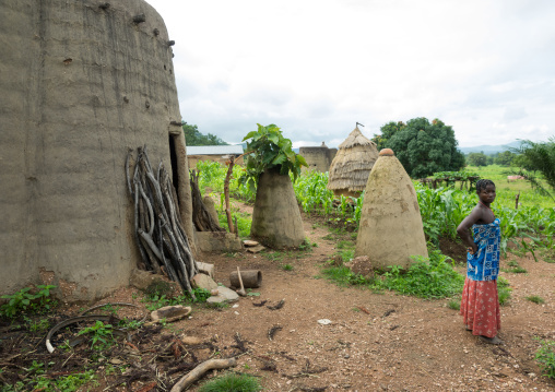 Togo, West Africa, Nadoba, traditional tata somba houses with thatched roofs and granaries