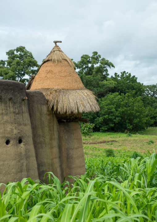 Togo, West Africa, Nadoba, traditional tata somba houses with thatched roofs and granaries
