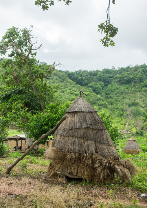 Togo, West Africa, Nadoba, ladder on a traditional tata somba granary