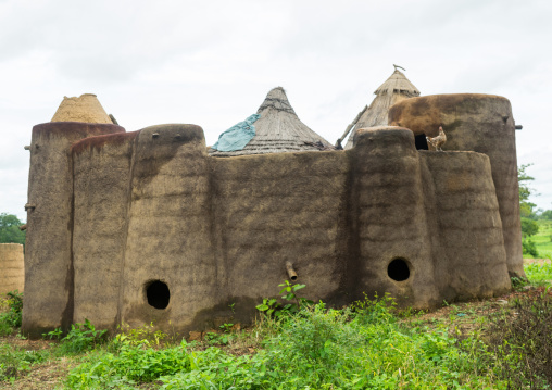 Togo, West Africa, Nadoba, traditional tata somba house with thatched roofs and granaries
