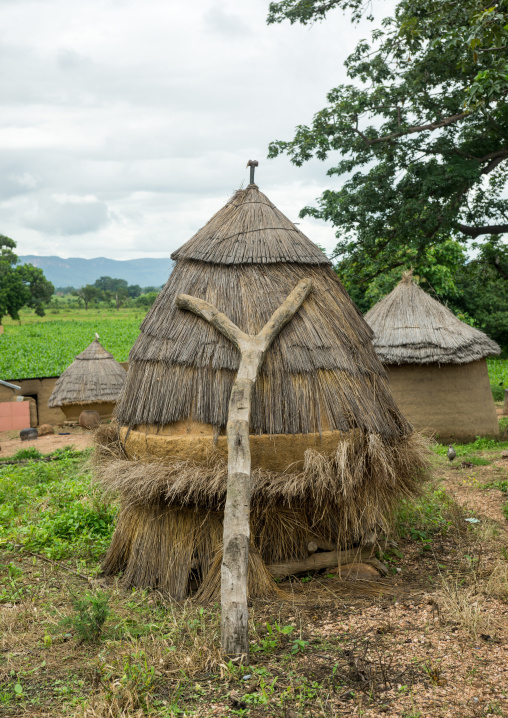 Togo, West Africa, Nadoba, ladder on a traditional tata somba granary