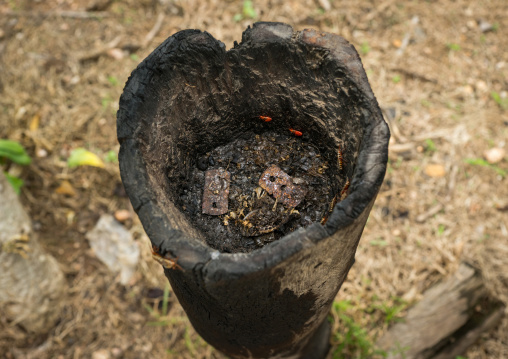 Togo, West Africa, Nadoba, magic voodoo trunk used to cure the snakes bites