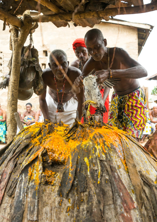 Benin, West Africa, Bopa, chicken sacrified by dah tofa voodoo master