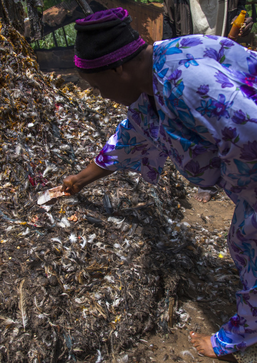 Benin, West Africa, Dankoly, a woman offering a bank note to a voodoo shrine during a ceremony