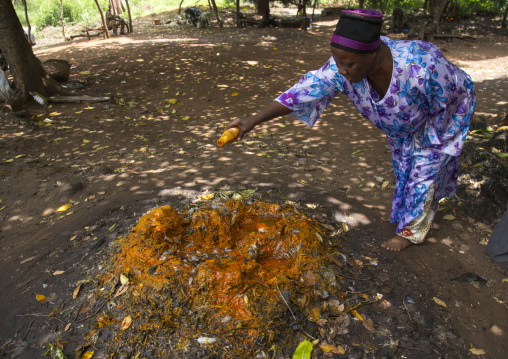 Benin, West Africa, Dankoly, a man makes offerings during a voodoo ceremony