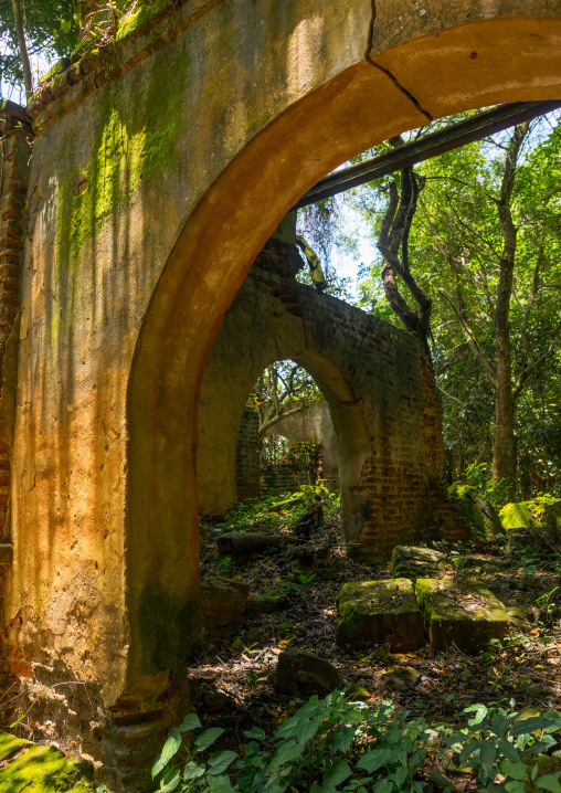 Benin, West Africa, Ouidah, former palace in the sacred forest of kpasse
