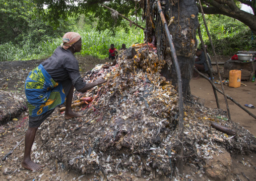Benin, West Africa, Dankoly, a woman praying in front of a voodoo shrine covered of oil, blood and feathers