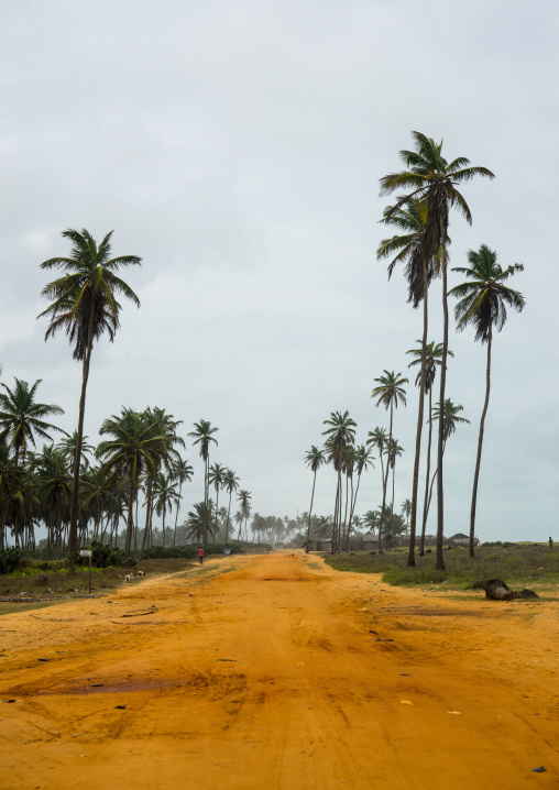 Benin, West Africa, Ouidah, ouidah cotonou road on the slave coast