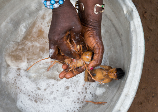 Benin, West Africa, Bopa, miss hounyoga washing the carved wooden figures made to house the soul of her dead twins