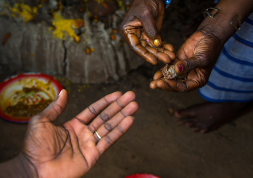 Benin, West Africa, Bopa, mrs hounyoga shares a cola nut to make offerings to the twins spirits in the temple