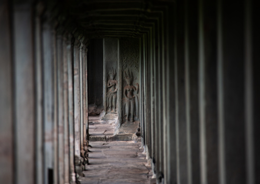 Empty corridor with columns inside a temple in Angkor wat, Siem Reap Province, Angkor, Cambodia