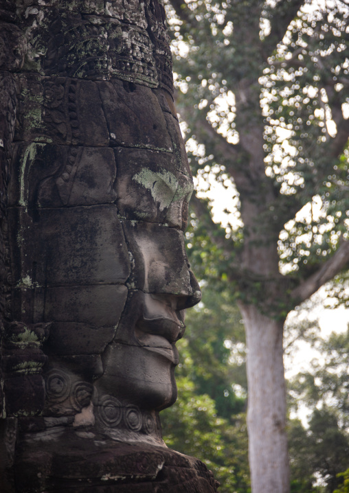 Giant buddha face inside Bayon temple, Siem Reap Province, Angkor, Cambodia