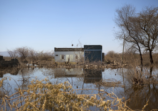 Ruins Of A House In A Flooded Area Of The Lake Basaka, Metehara, Ethiopia