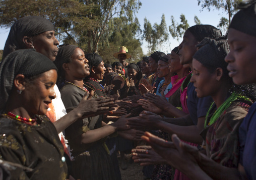 Women lined up and claping during a muslim wedding ceremony, Alaba, Ethiopia