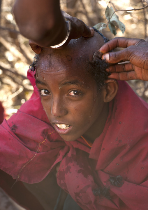 Portrait Of A Karrayyu Tribe Boy From Abdicating Clan Having His Head Shaved During Gadaaa Ceremony, Metahara, Ethiopia