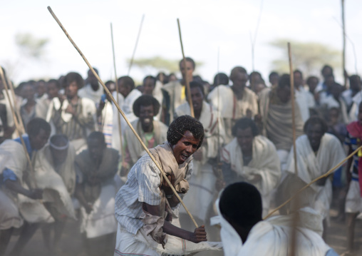 Group Of Karrayyu Tribe Men During Choreographed Stick Fighting Dance, Gadaaa Ceremony, Metahara, Ethiopia
