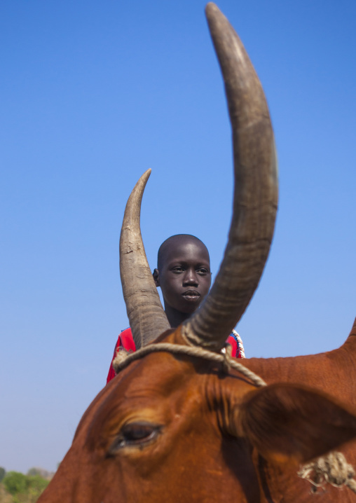 Nuer Tribe Livestock And Catlle Market, Gambela, Ethiopia