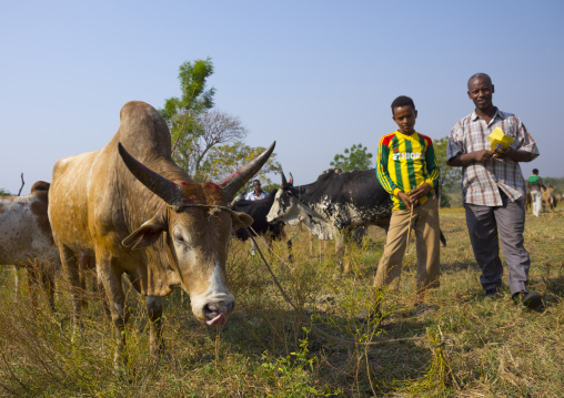 Nuer Tribe Livestock And Catlle Market, Gambela, Ethiopia